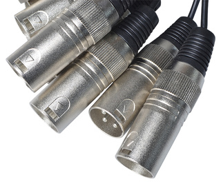 Stage Snake 12 Inputs